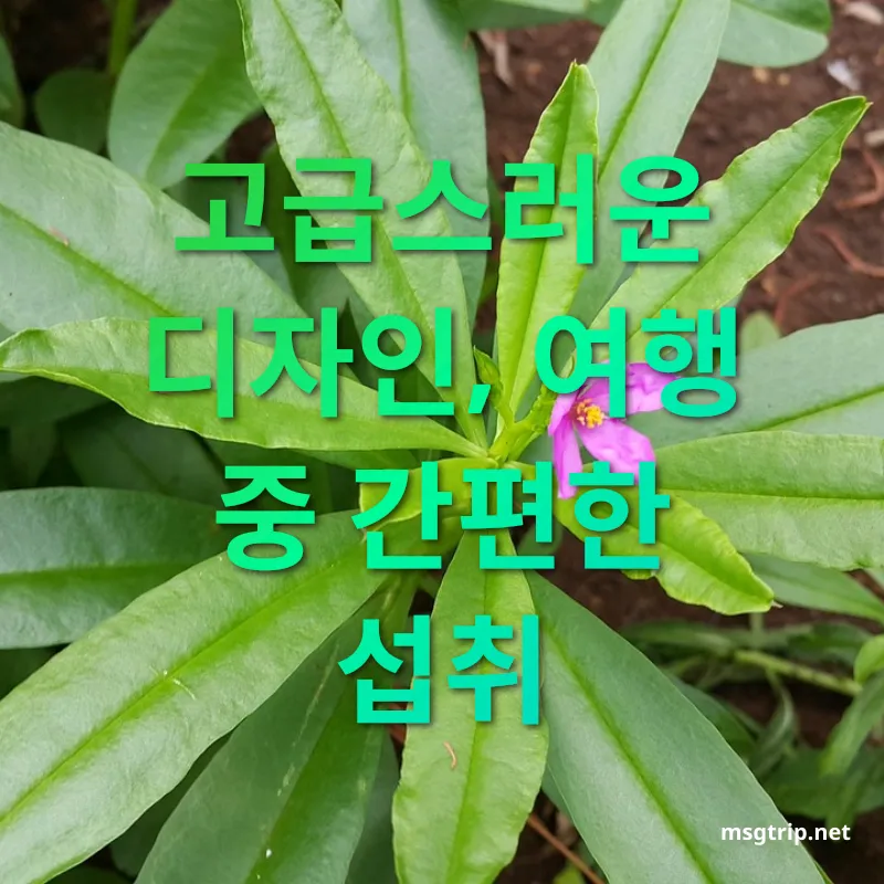 홍삼 건강관리 - 프리미엄 패키지와 액상 스틱 타입 홍삼 건강관리 프리미엄 패키지와 액상 스틱 타입 관련 이미지