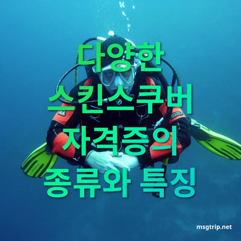 스킨스쿠버 자격증 스킨스쿠버 자격증의 레벨별 특징 관련 이미지