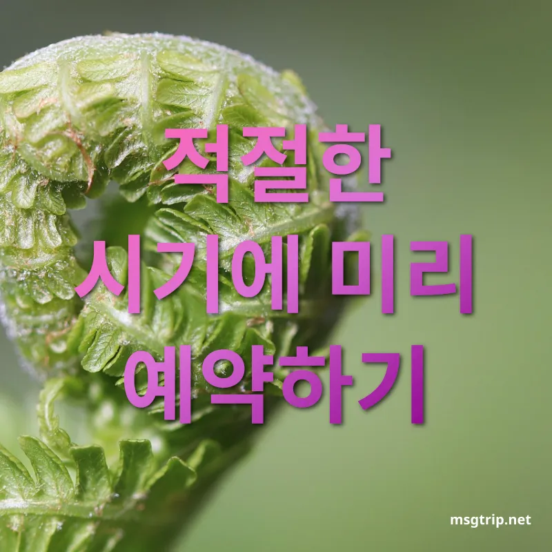 항공권 예약 꿀팁 해외여행 항공권 최적 예약 시기 관련 이미지