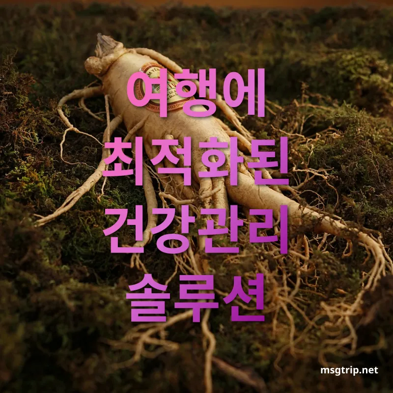 홍삼 건강관리 - 여행에 최적화된 건강관리 솔루션 홍삼 건강관리 여행에 최적화된 건강관리 솔루션 관련 이미지