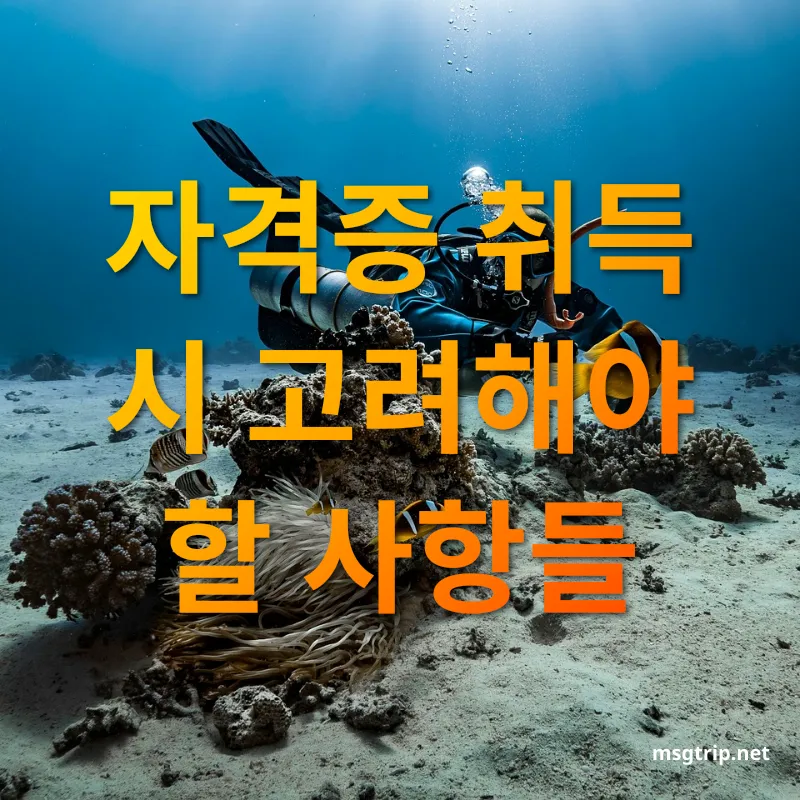 스킨스쿠버 자격증 자격증 취득 시 고려해야 할 사항들 관련 이미지