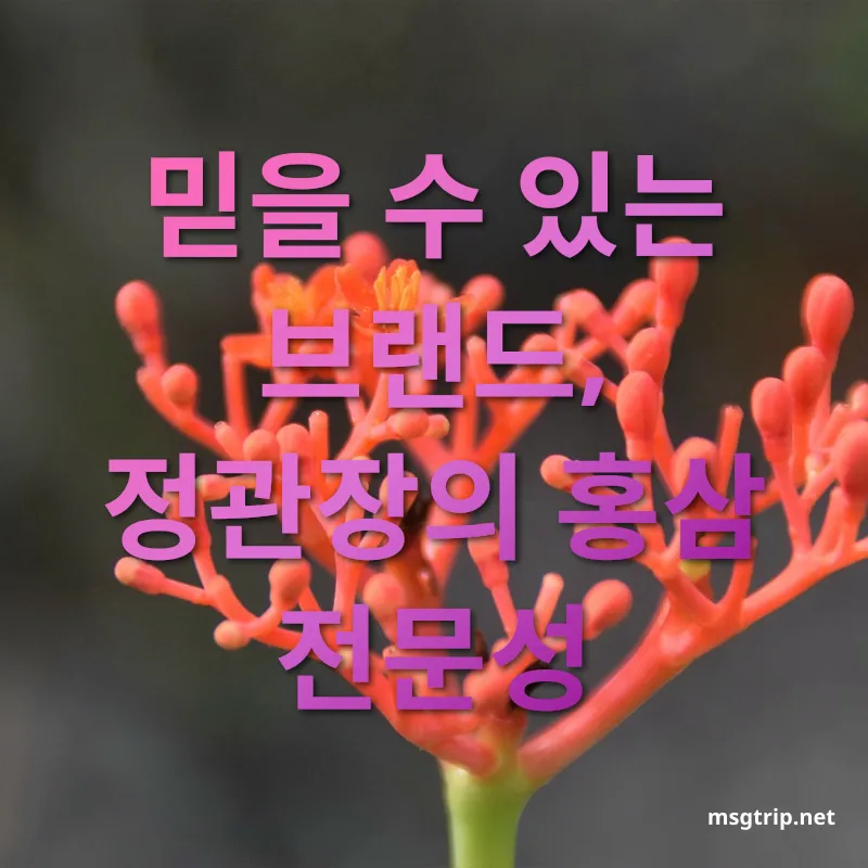 홍삼 건강관리 - 믿을 수 있는 브랜드, 정관장의 홍삼 전문성 홍삼 건강관리 믿을 수 있는 브랜드, 정관장의 홍삼 전문성 관련 이미지