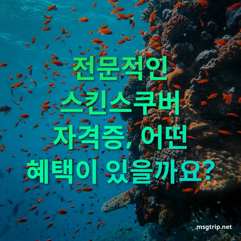 스킨스쿠버 자격증 전문적인 스킨스쿠버 자격증, 어떤 혜택이 있을까요? 관련 이미지