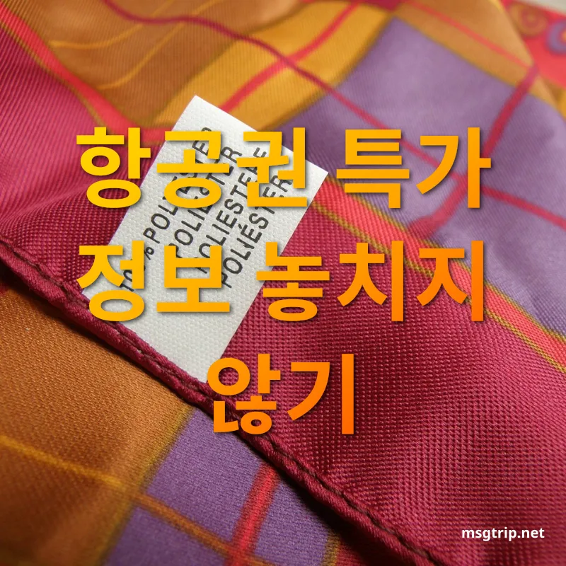 항공권 예약 꿀팁 항공권 특가 정보 놓치지 않기 관련 이미지