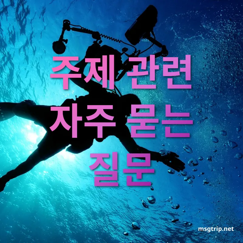 스킨스쿠버 자격증 주제 관련 자주 묻는 질문 관련 이미지