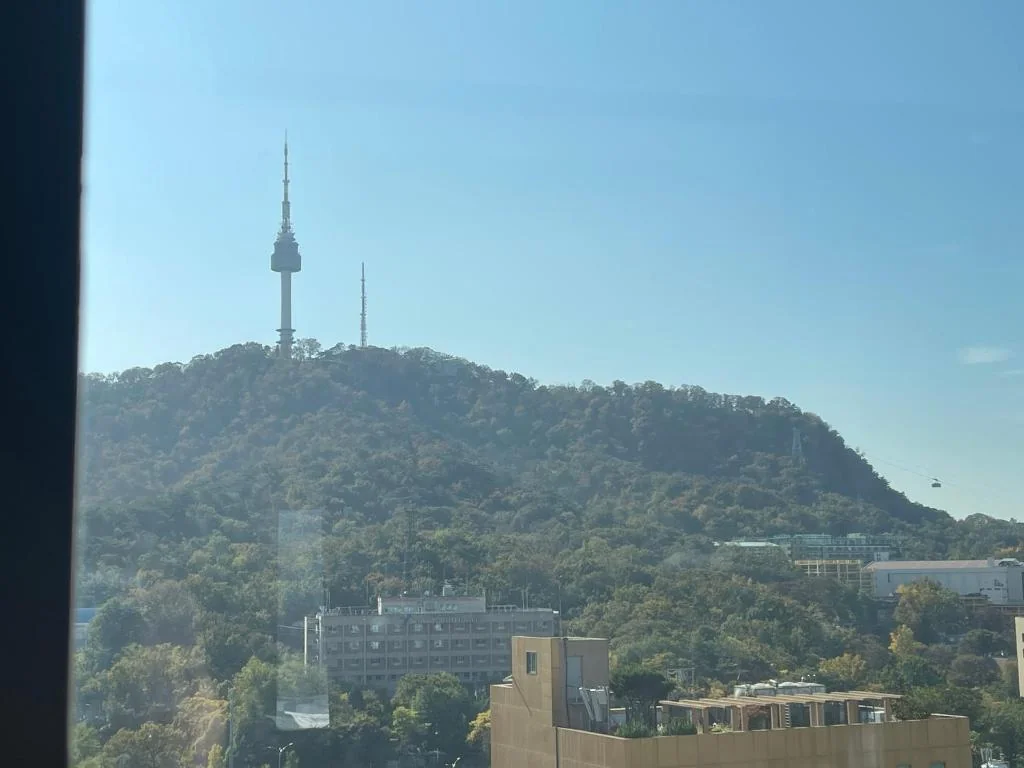 villiv Inn-The City Namsan 호텔 상세 정보 및 리뷰 View
