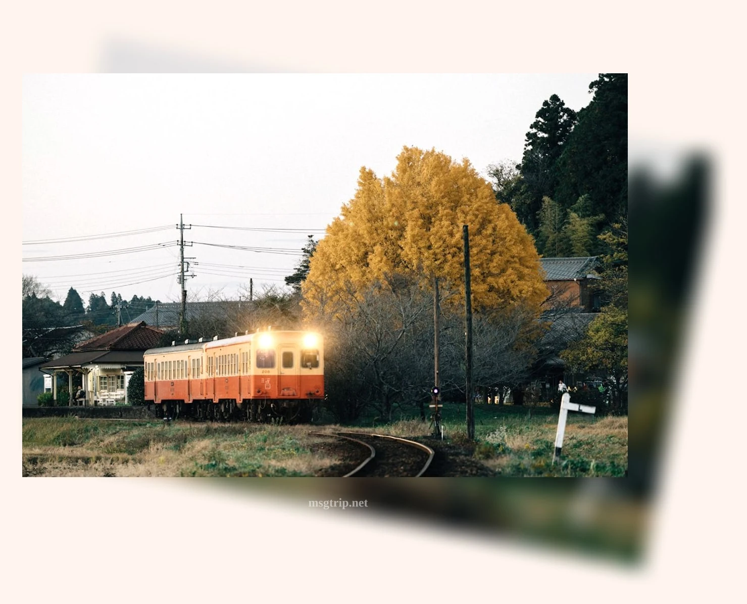 유럽 기차여행 - 유럽 기차여행의 모든 것을 담은 유레일 패스 상세 정보 유럽 기차여행 유럽 기차여행의 모든 것을 담은 유레일 패스 상세 설명 이미지